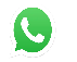 WhatsApp Icon